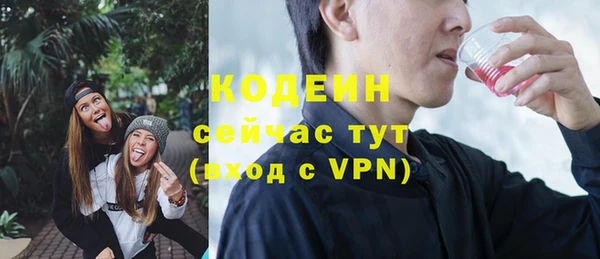 хмурый Осинники