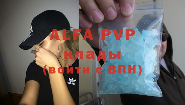 хмурый Осинники