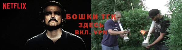 хмурый Осинники