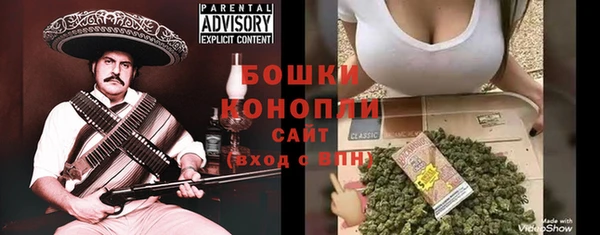 хмурый Осинники