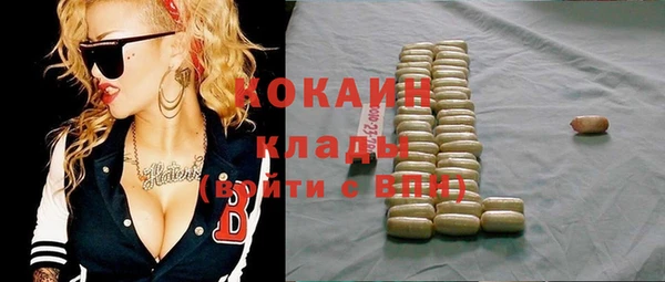 хмурый Осинники