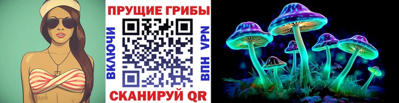 закладки Суоярви Псилоцибиновые грибы Psilocybe
